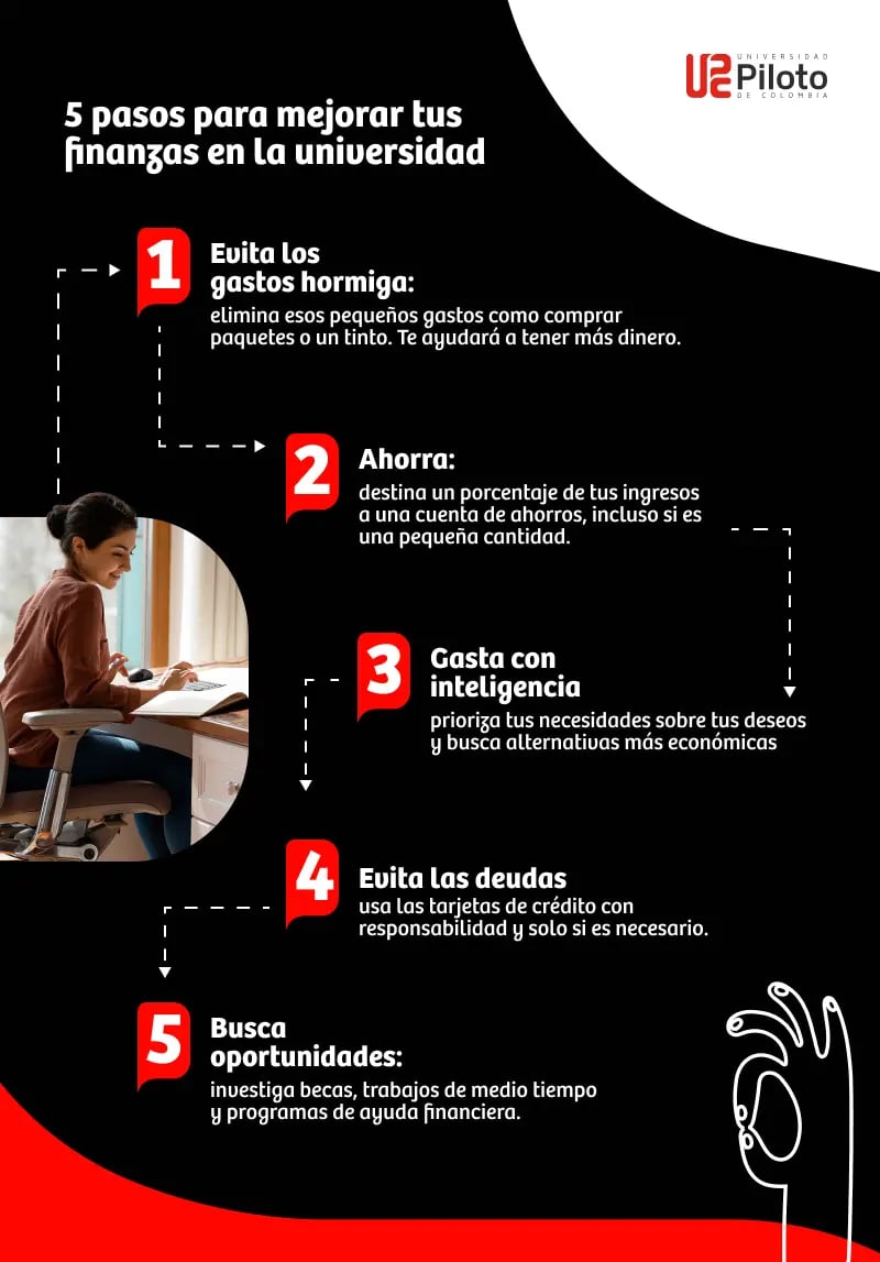consejos profesionales para manejar multiples ingresos